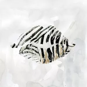 Zebra Kisses I by Carol Robinson Oil Painting