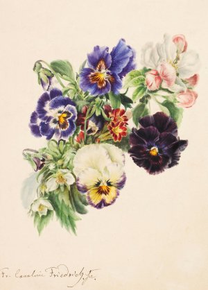 Kleiner Straus mit Stiefmutterchen, Apfelbluten und Primeln by Caroline Therese Friedrich Oil Painting