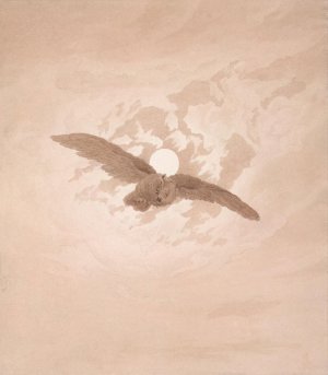 Owl Flying Against a Moonlit Sky