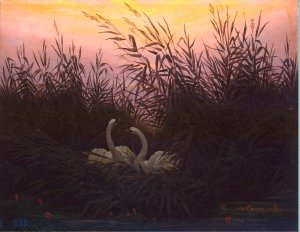 Swans in the Reeds