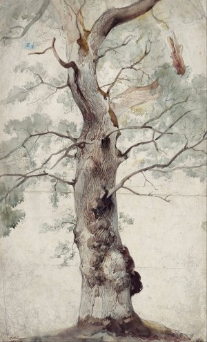 Study of a Tree by Caspar Scheuren Oil Painting