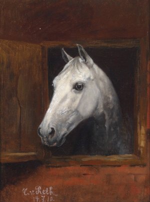 Portrait eines Schimmels by Caspar Von Reth Oil Painting