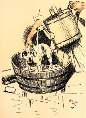 A Dog Day 04 by Cecil Charles Windsor Aldin Oil Painting