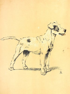 A Dog Day 07 by Cecil Charles Windsor Aldin Oil Painting