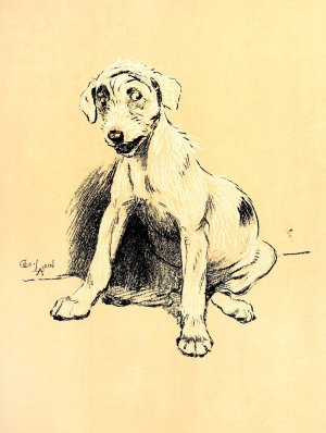 A Dog Day 13 by Cecil Charles Windsor Aldin Oil Painting