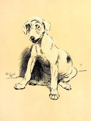 A Dog Day 13 by Cecil Charles Windsor Aldin Oil Painting