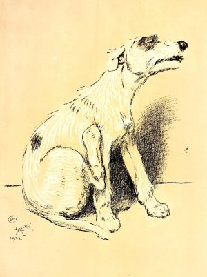 A Dog Day 19 by Cecil Charles Windsor Aldin Oil Painting