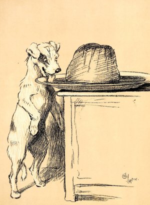 A Dog Day 27 by Cecil Charles Windsor Aldin Oil Painting