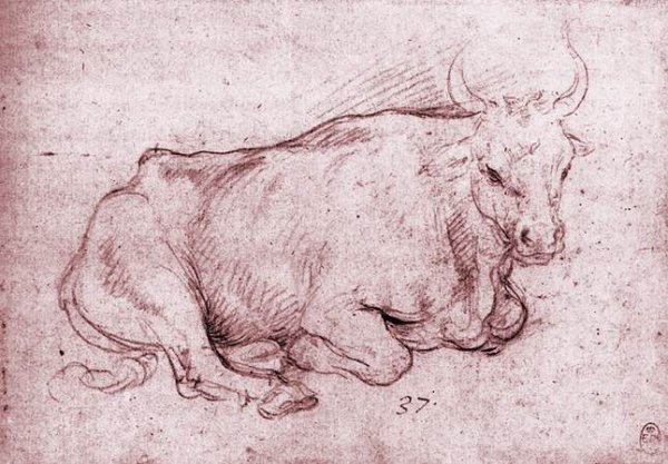 Seated Bull by Cesare Da Sesto - Hand-Painted Oil Painting Reproduction
