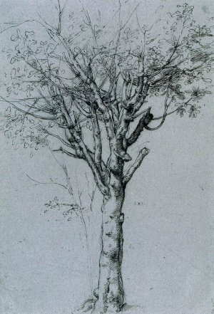 Study of a Tree by Cesare Da Sesto Oil Painting