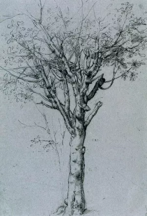 Study of a Tree Oil painting by Cesare Da Sesto