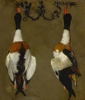 Still life of two shelducks hanging from their bills by Cesare Dandini Oil Painting