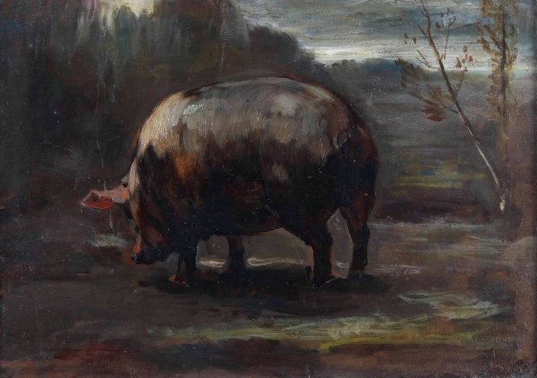 Main Product Photo of Studio di maialino  Painting by Cesare Viazzi