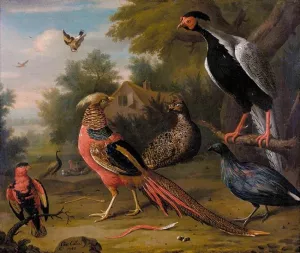 Exotic Pheasants and Other Birds Oil painting by Charles Allston Collins