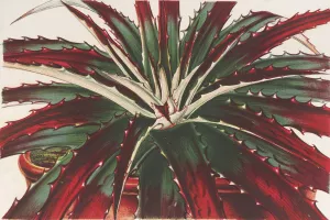 Hechtia Ghiesbreghtii Oil painting by Charles Antoine Lemaire