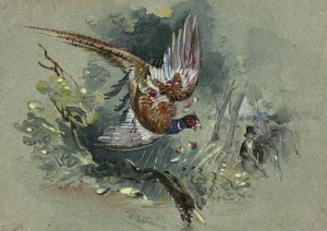 Pheasant and Hunter by Charles B. Newhouse Oil Painting