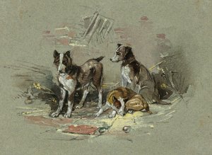 Three Dogs in an Alley by Charles B. Newhouse Oil Painting