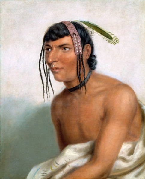 Jack-o-pa  by Charles Bird King - Hand-Painted Oil Painting Reproduction