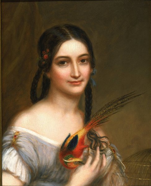 Main Product Photo of Miss Satterlee  Painting by Charles Bird King