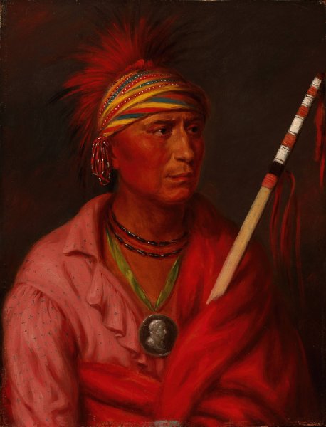 Main Product Photo of No Heart  Painting by Charles Bird King