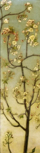 Blossoming White Branches by Charles Caryl Coleman Oil Painting