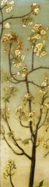 Main Product Photo of Blossoming White Branches Painting by Charles Caryl Coleman