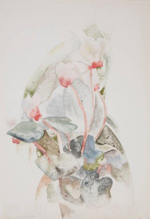 Cyclamen by Charles Demuth Oil Painting