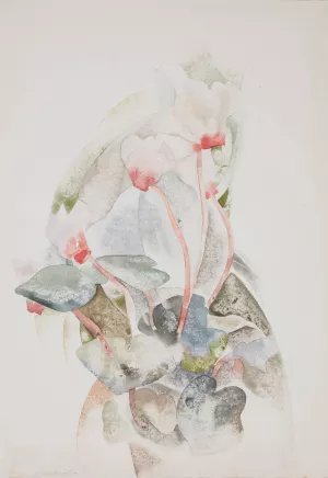 Cyclamen by Charles Demuth Oil Painting