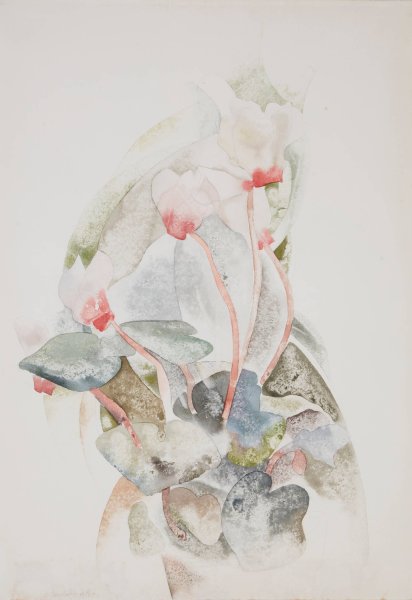 Main Product Photo of Cyclamen  Painting by Charles Demuth