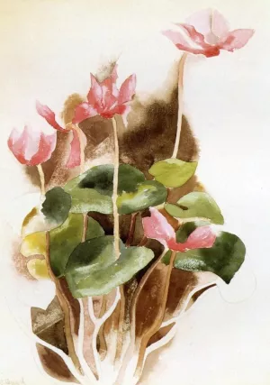 Cyclamen Oil painting by Charles Demuth