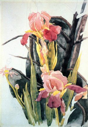 Flowers: Irises