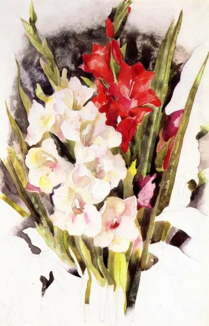 Gladiolus