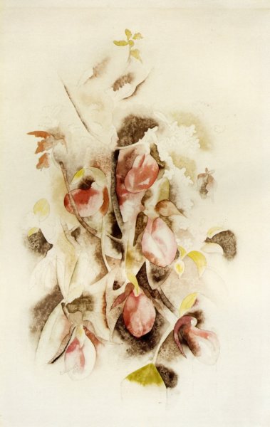 Main Product Photo of Pink Lady Slippers Painting by Charles Demuth