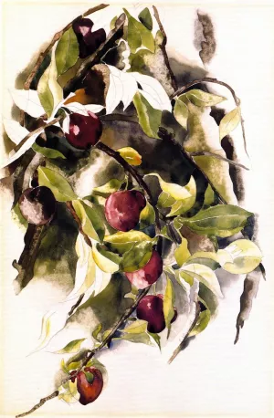 Plums Oil painting by Charles Demuth