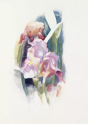Purple Iris by Charles Demuth Oil Painting