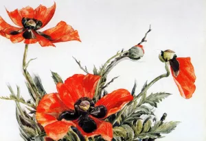 Red Poppies by Charles Demuth Oil Painting