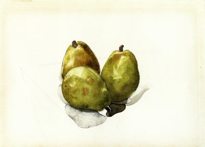 Three Pears by Charles Demuth Oil Painting