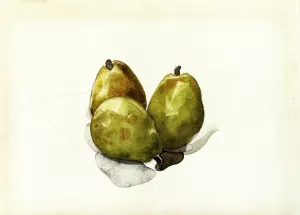 Three Pears Oil painting by Charles Demuth