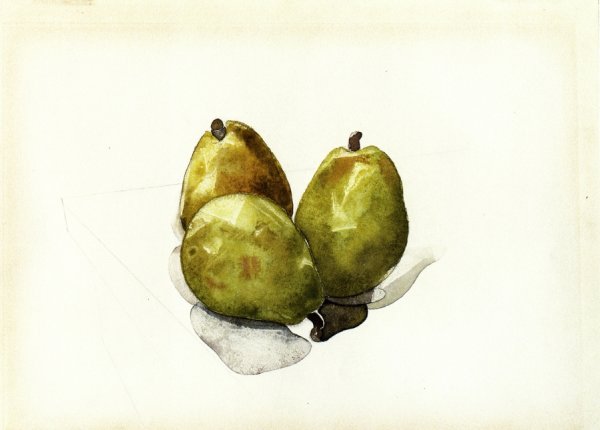 Main Product Photo of Three Pears Painting by Charles Demuth