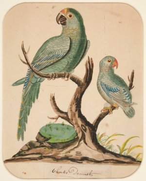 Two Parrots on a Barren Tree by Charles Demuth Oil Painting