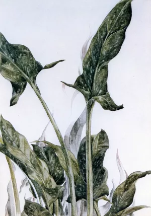 Yellow Calla Lily Leaves by Charles Demuth Oil Painting