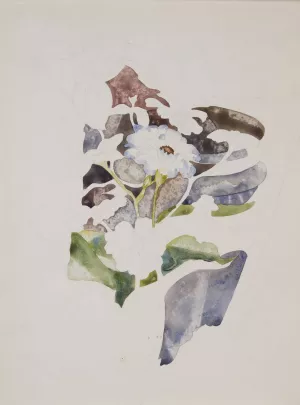 Zinnias by Charles Demuth Oil Painting