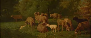 Moutons by Charles Emile Jacque Oil Painting