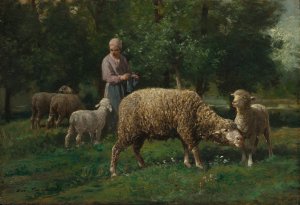 Shepherdess with Sheep by Charles Emile Jacque Oil Painting
