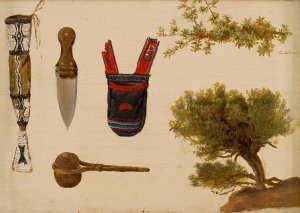 Studies of Beaded Scabbard and Knife, Decorated Pouch, Stone Axe, Branch of Bull Berry, and Hill Sage by Charles Ferdinand Wimar Oil Painting