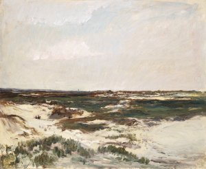The Dunes at Camiers by Charles Francois Daubigny Oil Painting