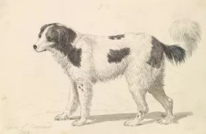 The Alpine, or Great St. Bernard Dog by Charles Hamilton Smith Oil Painting