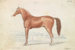 The English Race-Horse by Charles Hamilton Smith Oil Painting