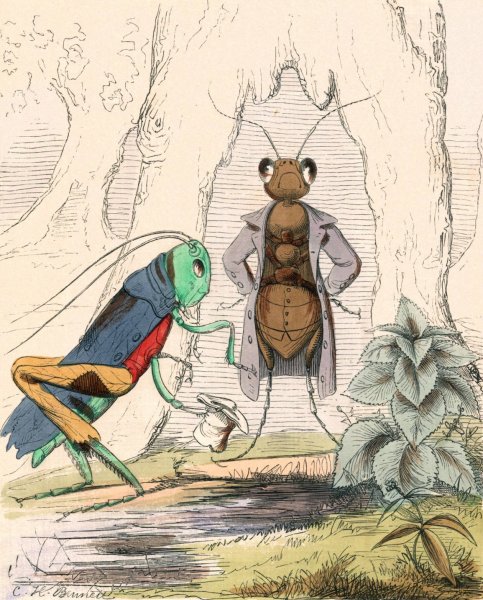 The Ant And The Grasshopper  by Charles Henry Bennett - Hand-Painted Oil Painting Reproduction