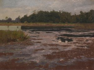 Abendliche Moorlandschaft by Charles Johann Palmie Oil Painting